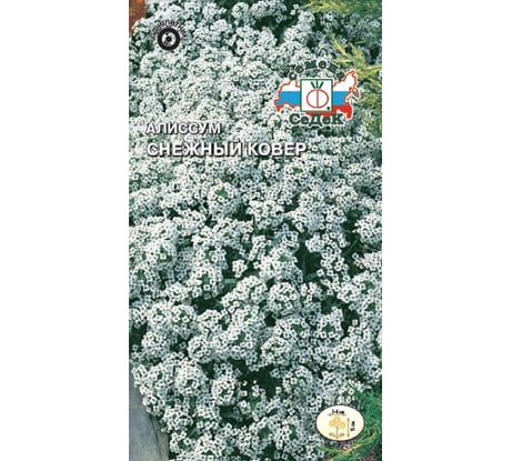 Семена СеДек Алиссум Снежный ковер 00000014816