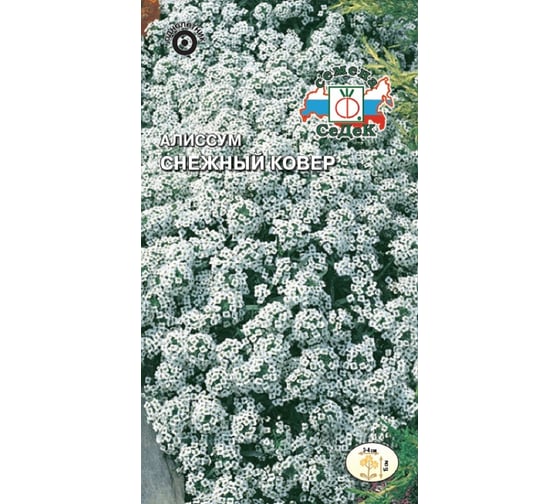 Семена СеДек Алиссум Снежный ковер 00000014816 1
