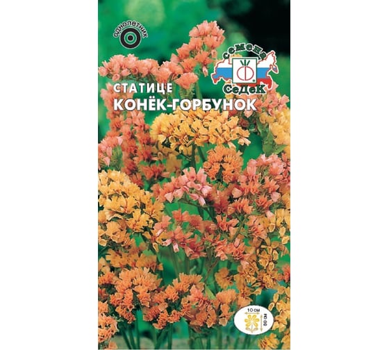 Семена СеДек Статице Конек-горбунок 00000014124