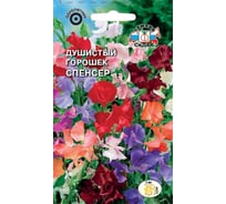 Семена СеДек Душистый горошек Спенсер 00000013748