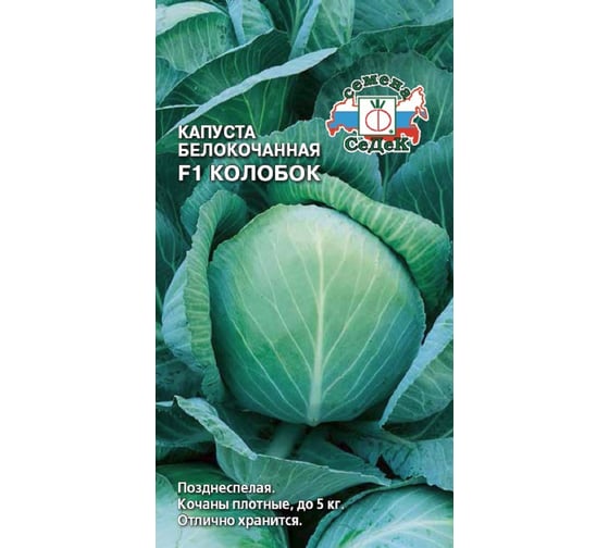 Семена СеДек капуста Колобок 00000016081 1