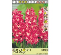 Луковица HBM Гиацинт Ред Мэджик 15/16 ярко-красный, 3 шт. 35169