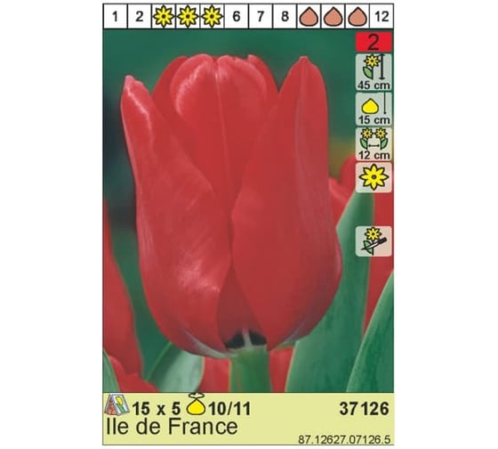 Луковица HBM Тюльпан Иль Де Франс 10/11 красный, 5 шт. 37126 1