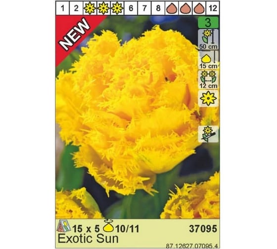 Луковица HBM Тюльпан Экзотик Сан 10/11 желтый, 5 шт. 37095 1