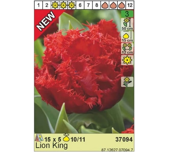Луковица HBM Тюльпан Лайон Кинг 10/11 красный, 5 шт. 37094
