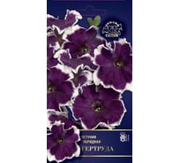 Семена СеДек Петуния Гертруда 00000014134