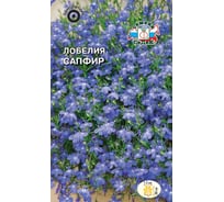 Семена СеДек Лобелия Сапфир 00000014713