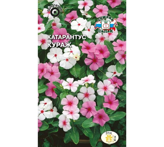 Семена СеДек Катарантус Кураж 00000016030 1