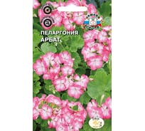 Семена СеДек Пеларгония Арбат 00000015013