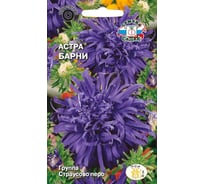 Семена СеДек Астра Барни 00000017100