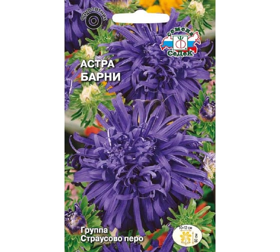 Семена СеДек Астра Барни 00000017100 1