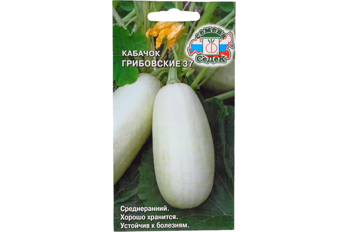 Семена СеДек Кабачок Грибовские 37 00000016209 - выгодная цена, отзывы ...