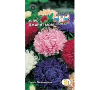 Семена СеДек Астра Джайнт Мом 00000015081