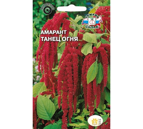 Семена СеДек Амарант Танец огня 00000015897