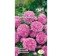 Семена СеДек Астра Дарьюшка 00000015712