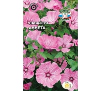 Семена СеДек Лаватера Аннета 00000015001