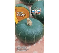 Семена СеДек Тыква Амбар 00000015417