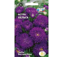 Семена СеДек Астра Хельга 00000017107