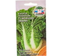 Семена СеДек Капуста Весенний Нефрит 00000016434