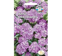 Семена СеДек Иберис Александрит 00000015164