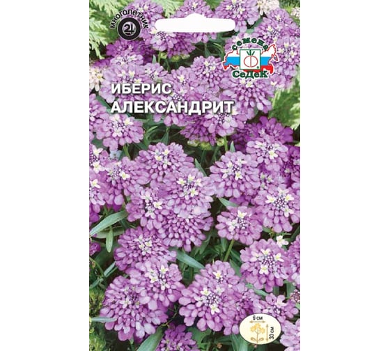 Семена СеДек Иберис Александрит 00000015164 1
