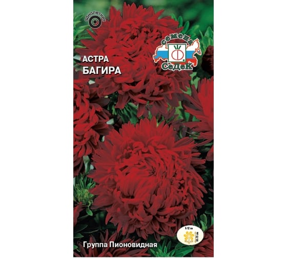 Семена СеДек Астра Багира 00000015522 1