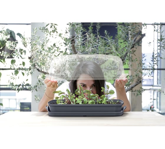 Парник Prosperplast Respana Table Greenhouse DREH400 405U 39х25.7х18.5 см, 3.6 л, светло-серый 059351