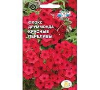 Семена СеДек Флокс Красные переливы 00000017153
