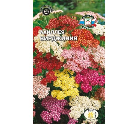 Семена СеДек Ахиллея Вирджиния 00000014739