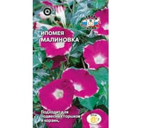 Семена СеДек Ипомея Малиновка 00000014970