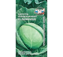 Семена СеДек Капуста Разносол 00000014859