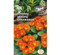 Семена СеДек Примула Аккорд оранжевый 00000015023