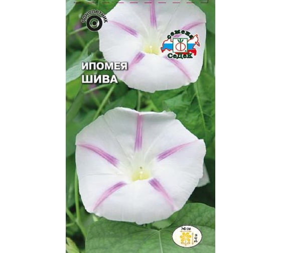 Семена СеДек Ипомея Шива 00000014974 1