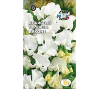 Семена СеДек Душистый горошек Виконт 00000016101