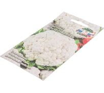 Семена СеДек Капуста Отечественная 00000016384