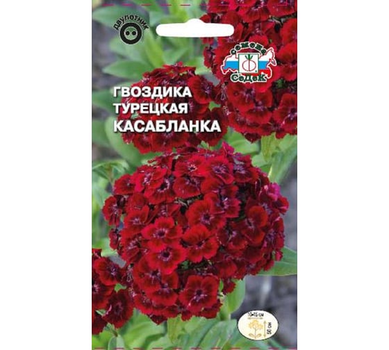 Семена СеДек Гвоздика Касабланка 00000014945