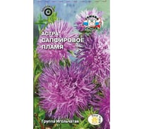 Семена СеДек Астра Сапфировое пламя 00000015721