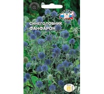 Семена СеДек Синеголовник Фанфарон 00000016323