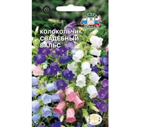 Семена СеДек Колокольчик Свадебный вальс 00000015372