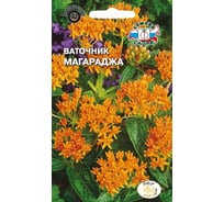 Семена СеДек Ваточник Магараджа 000000144815