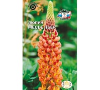 Семена СеДек Люпин Месье Пьер 00000015284