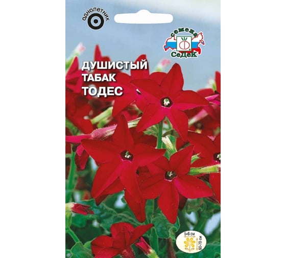 Семена СеДек Душистый табак Тодес 00000014139 1