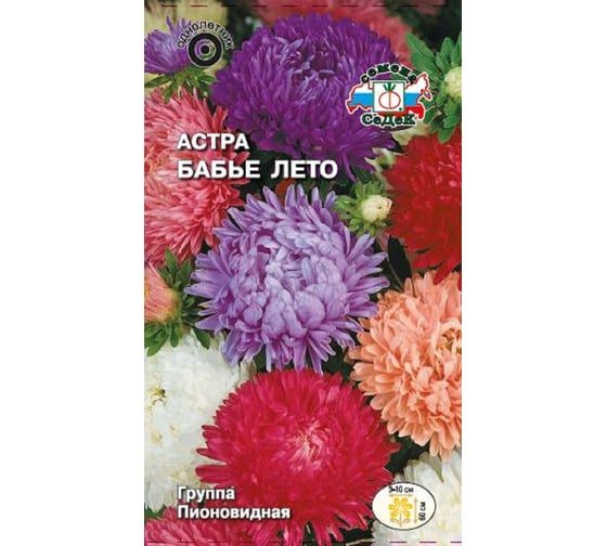 Семена СеДек Астра Бабье лето 00000013726 1