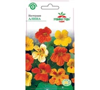 Семена СеДек Настурция Алина 00000016091