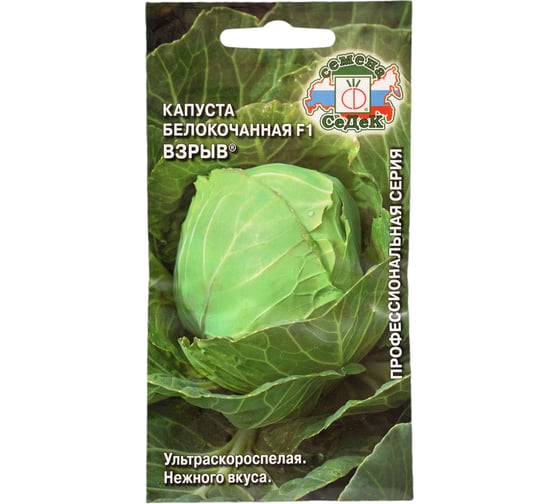 Семена СеДек капуста Взрыв 00000015949