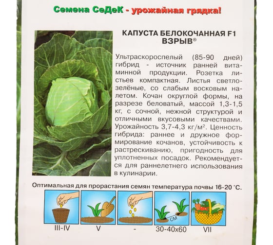 Семена СеДек капуста Взрыв 00000015949