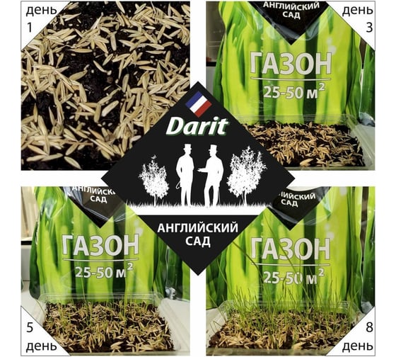 Газон DARIT Английский сад 900 г 115630
