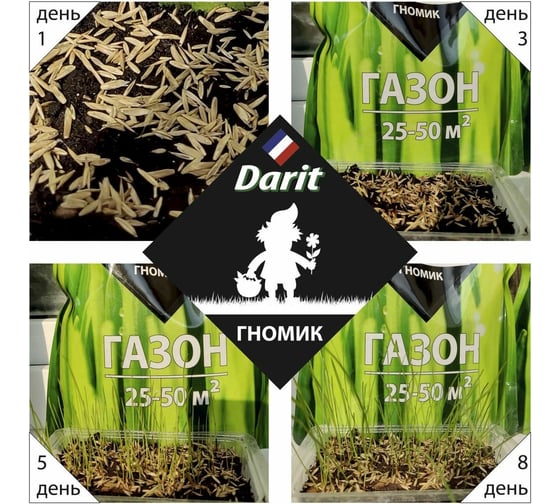 Газон DARIT Гномик 900 г 115631