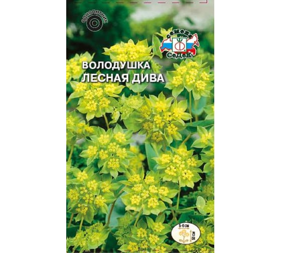 Семена СеДек Володушка Лесная дива 00000014123 1