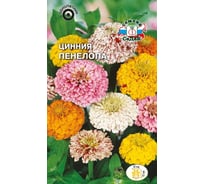 Семена СеДек Цинния Пенелопа 00000014634